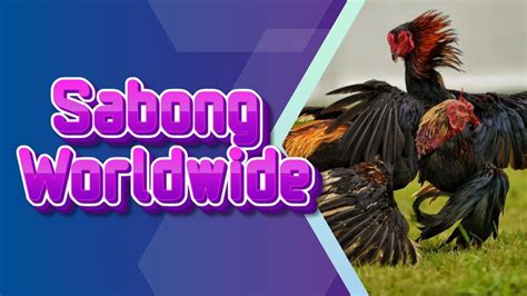 sabongwordwide|sabong worldwide live.